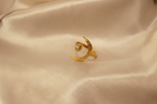 The Tara-Kanti Hammered Crescent Ring